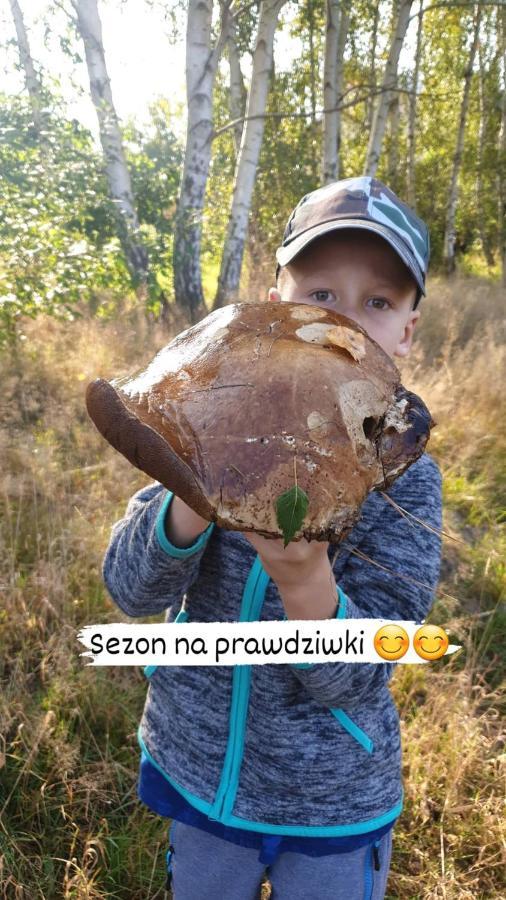 Aris Pokoje Goscinne Wojnicz Bagian luar foto