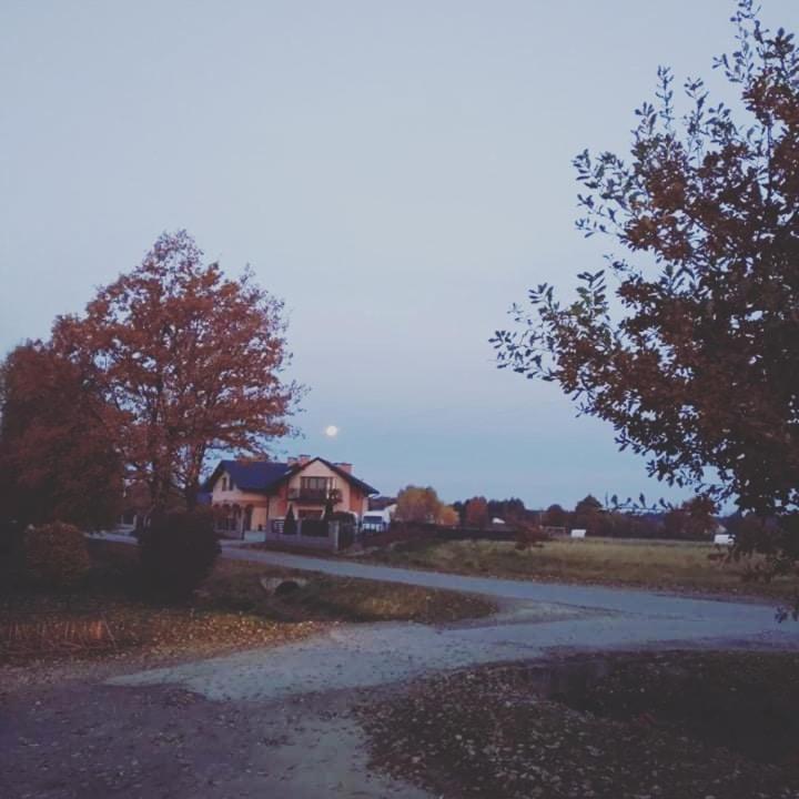 Aris Pokoje Goscinne Wojnicz Bagian luar foto